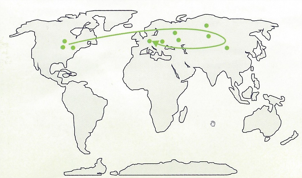Carte